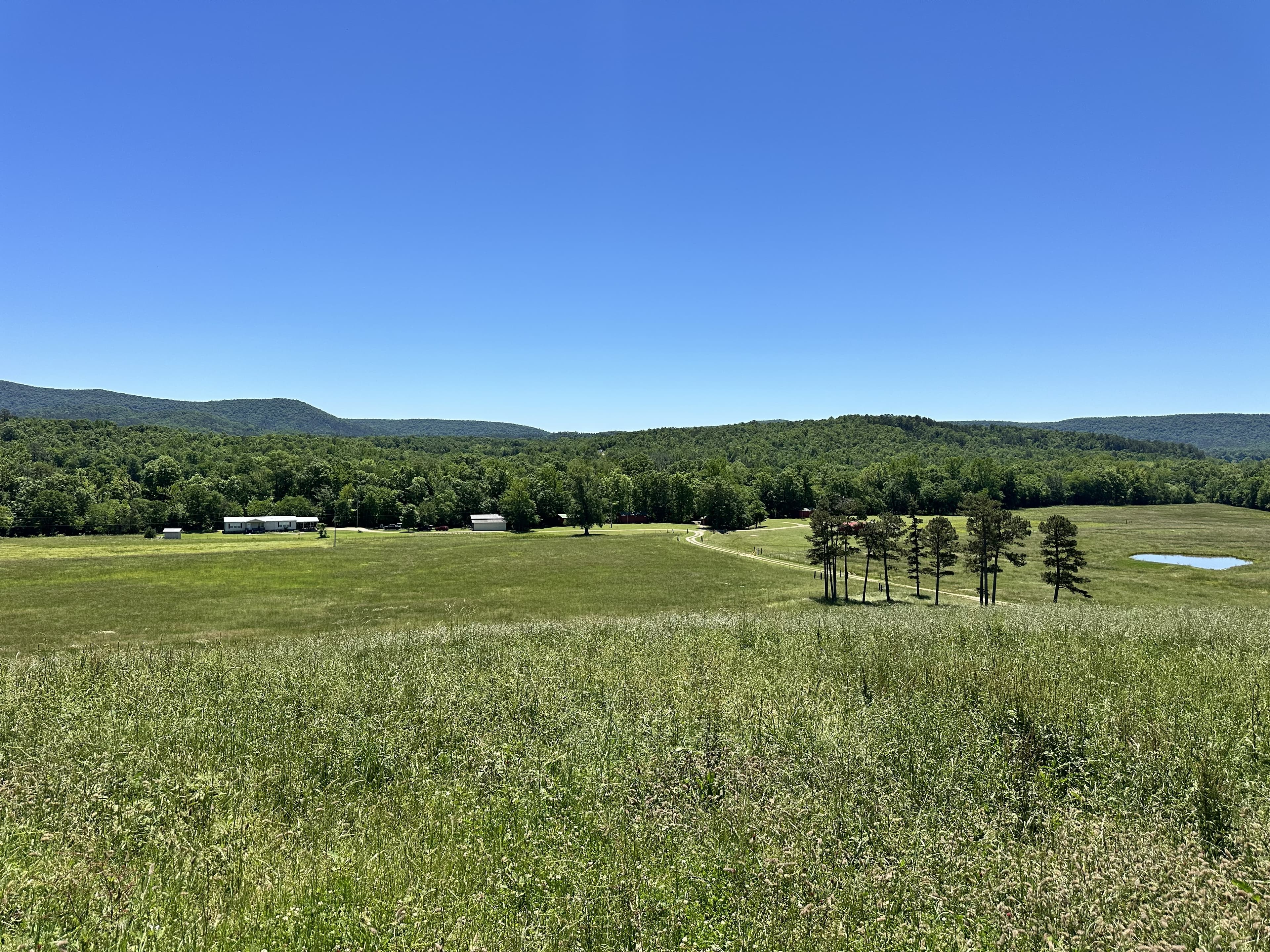 Creekside cabins in the Ouachita Mountains of Arkansas