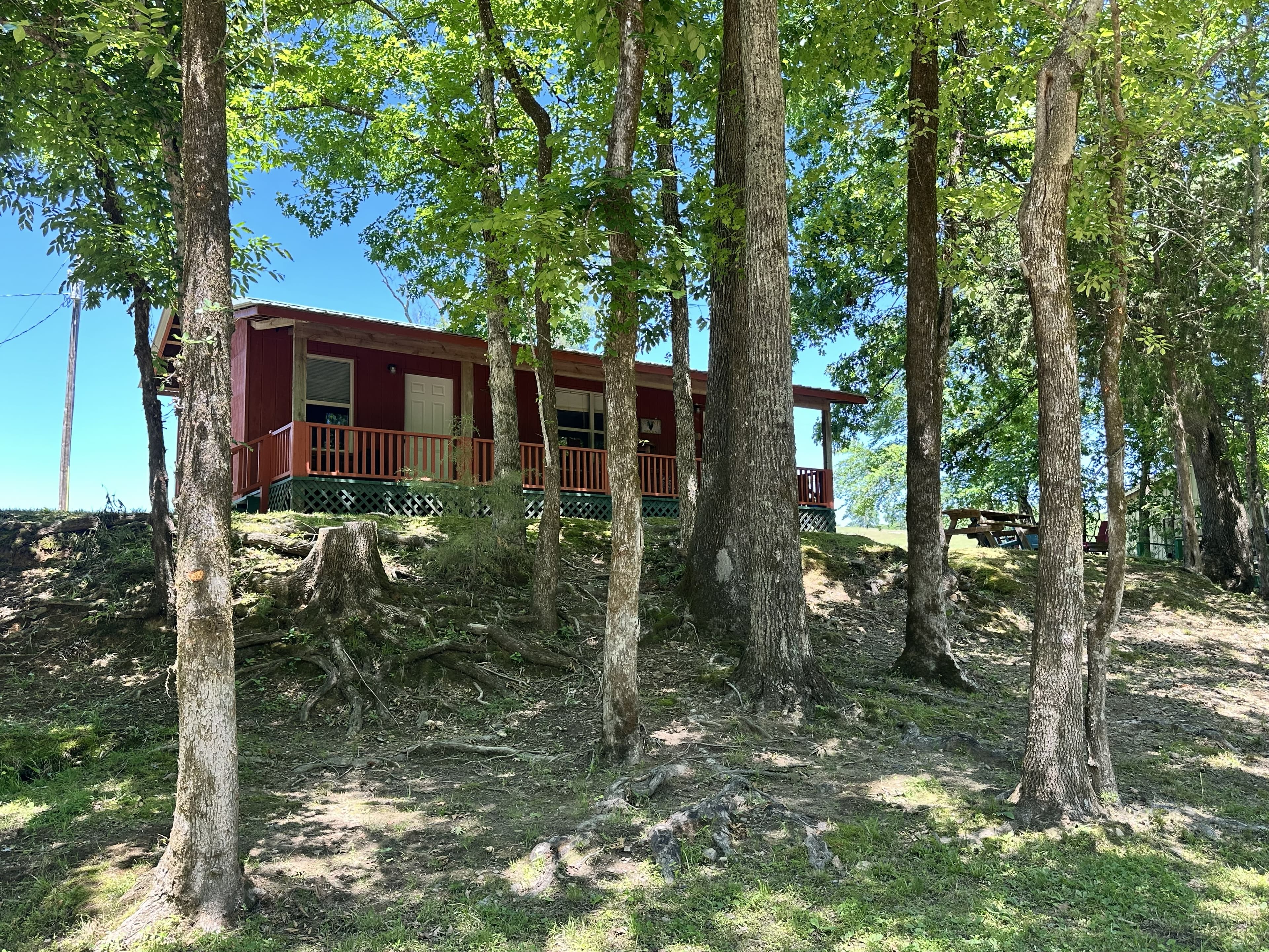 Love Cabin Love Scenic