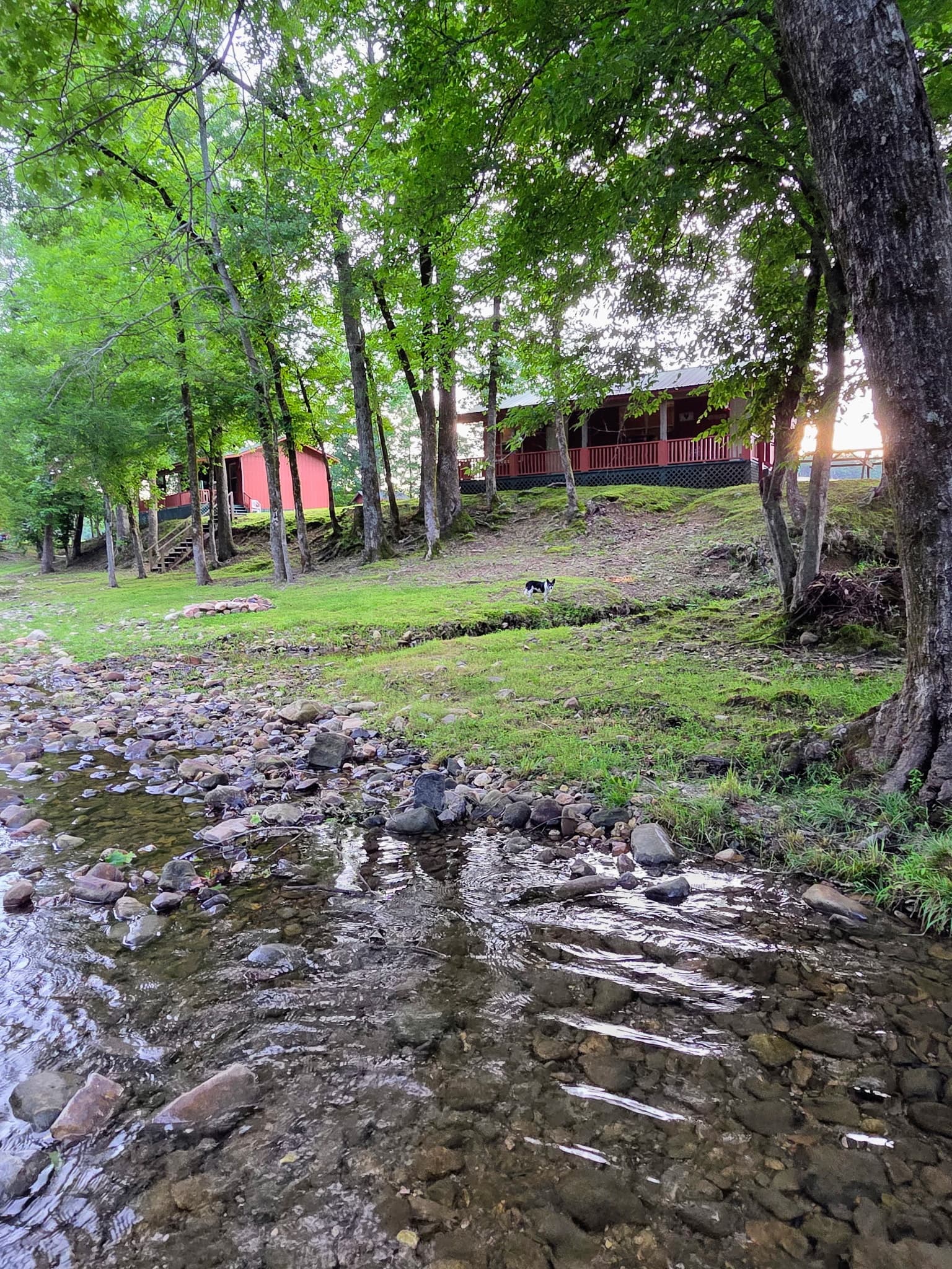 Love Cabin creek green cabin